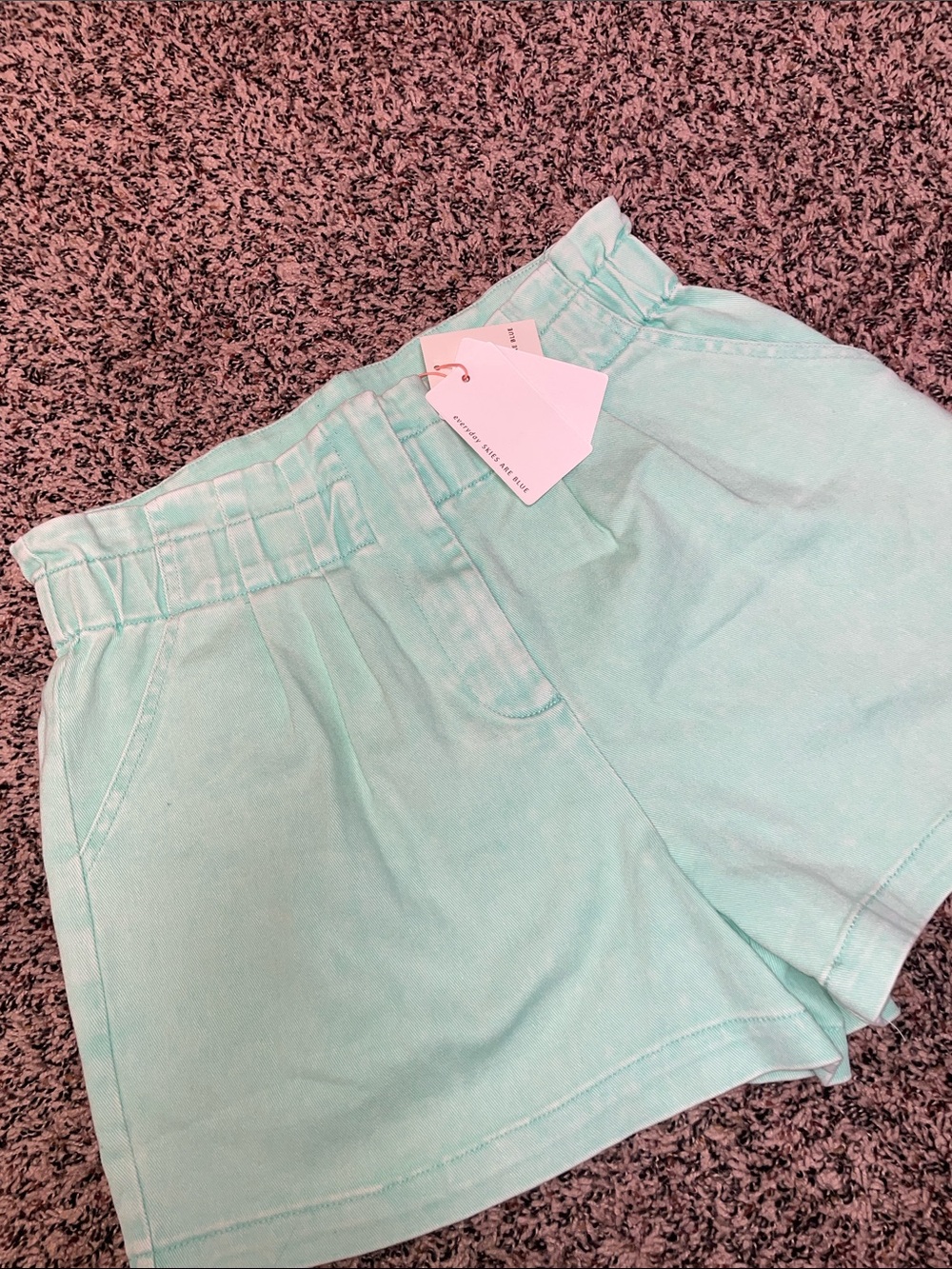 Skies Are Blue Mint High-Waist Paperbag Shorts Size M | NWT - Picture 4 of 9
